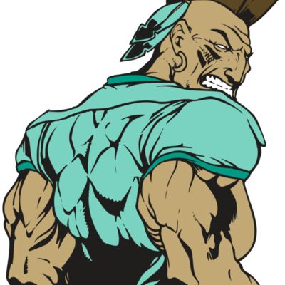 AR5 MOHAWK 02 RQC Thumbnail