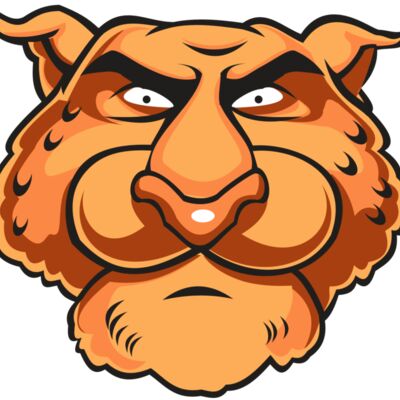 CHEETAH HD0501 RQC Thumbnail