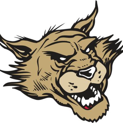 AR WILDCAT 39 RC Thumbnail