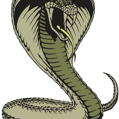 BAW SNAKE 07 RC Thumbnail