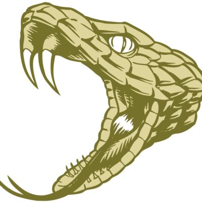 BAW SNAKE 11 RC Thumbnail