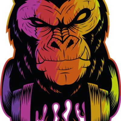 dj pagie gorilla for t Thumbnail